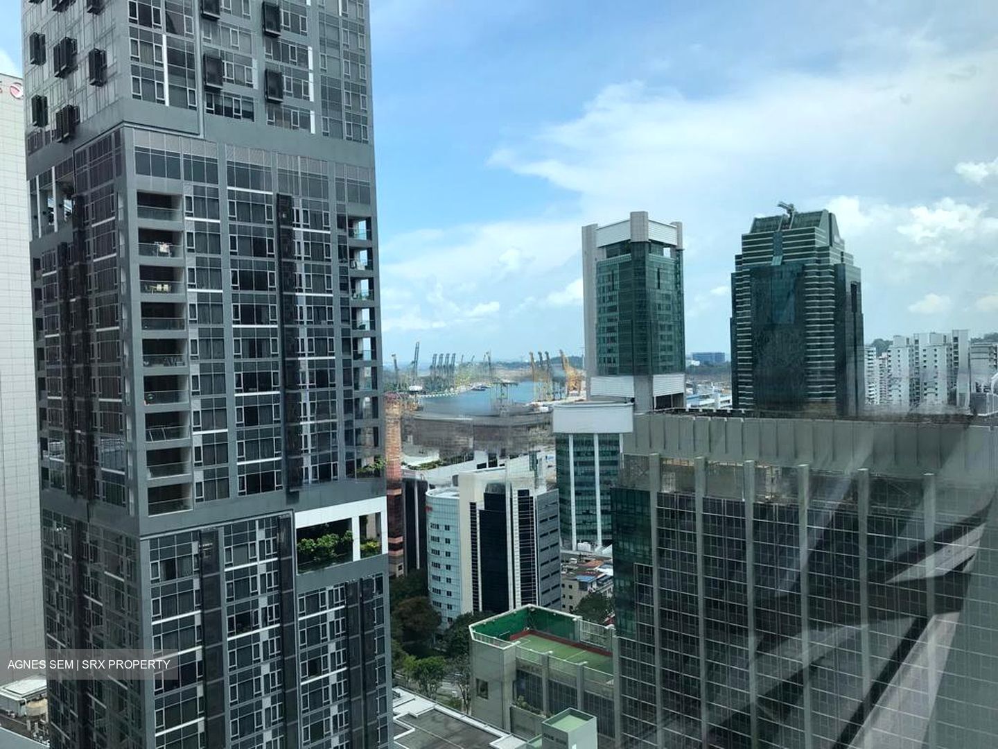 Icon (D2), Apartment #463022081